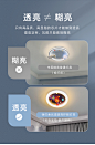 JT20537-790详情-新_10.jpg