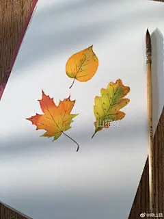 山猫水彩插画分享超话 早上好☀️ ​​​​