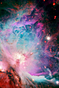 Orion Nebula