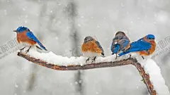 高清 壁纸 电脑 设计 创意  【酷图网】高清,壁纸,电脑,设计,创意,图片,