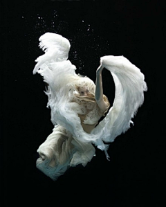 猿籽蛋采集到FINE ART 【】Zena Holloway【】