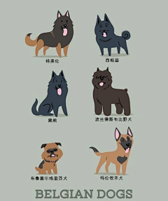 三万曾有良人的一日采集到心仪