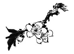 【今心】【古风素材综合整理-花鸟虫鱼篇】