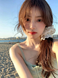 海岸边有来去自由的风