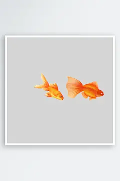 金鱼鲤鱼插图中国风水墨画手绘艺术小鱼-众图网