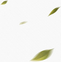 漂浮的绿叶飘落的叶子-觅元素51yuan...