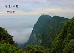 蜀中多仙山，峨眉邈难匹。云拥半岭雪，花吐一溪烟………………PS：远处就是万佛顶………………,枫知畫尔