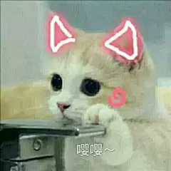 【图片】【资源】可爱的猫咪表情包_表情包吧_百度贴吧