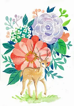 鹿与花—水彩插画欣赏