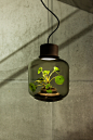 Mygdal plant lamp植物吊灯