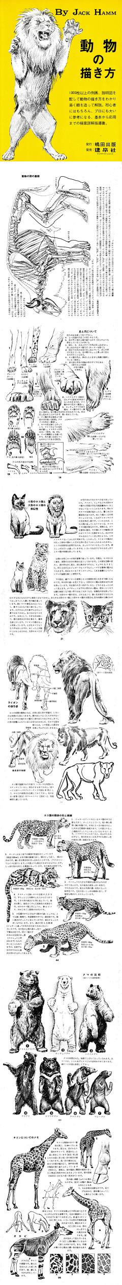激情与汪子～采集到动物