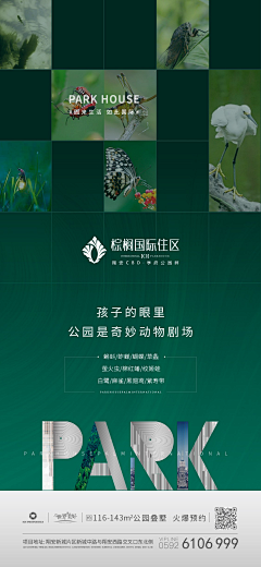 海风窝采集到绿色