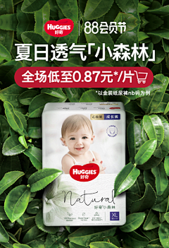 _冰糖懂得那样的甜采集到设计