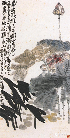 画中自有千千解采集到书画中国_近当代_陈师曾|王梦白