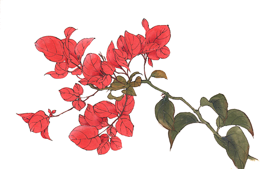 红色花枝12