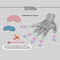 Cross section of the Hand, Anatomy For Sculptors : We sometimes think of our fingers as being cylindrical. But you have to remember that this is not the case! When we sculpt fingers that are cylinders, we end up with sausages.

www.anatomy4sculptors.com