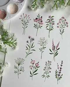 水彩---素材小画 - 高清图片，堆糖，美图壁纸兴趣社区