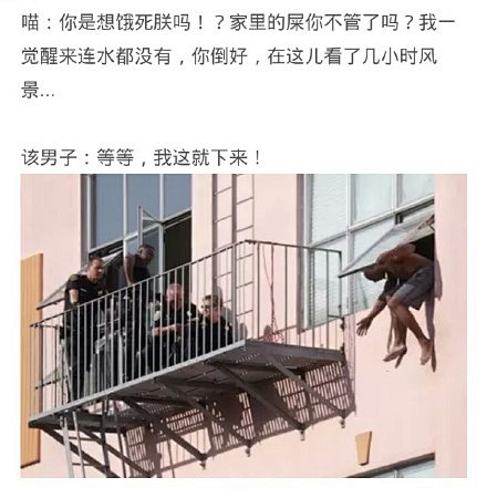 一男子欲跳楼，警方找来了该男子的猫后。。...