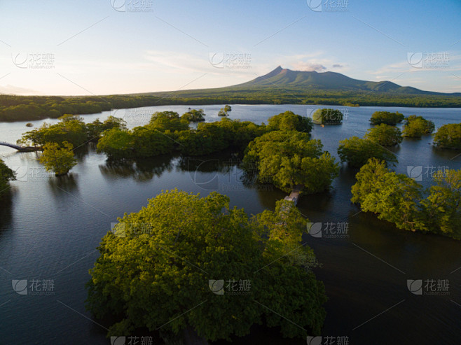 大沼湖,大沼国定公园,枝繁叶茂,湖,夏天,户外,天空,日本,火山,自然
