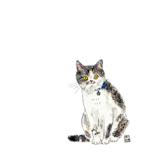 滴答11采集到插画