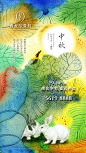 节气/中秋/地产/壹号/刷屏/海报/设计