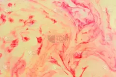 抽象的红黄背景，粉彩图案，液体中的黄色和红色，牛奶上的污渍，艺术，极简主义的背景，设计师的空白，波普