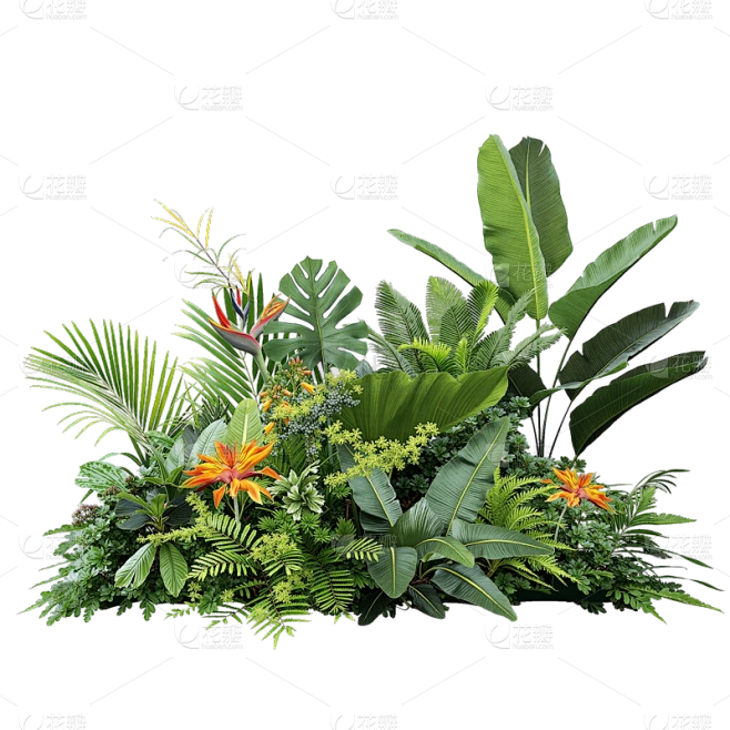 植物系列写实风植物草丛元素素材-花瓣网