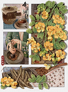 倦俗采集到手绘