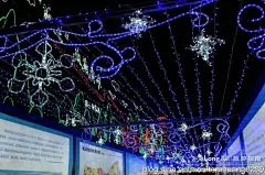 暂居长沙：元宵前 雪夜梅溪湖观灯（上）, 东海边的蚬子旅游攻略