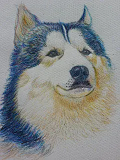 Dante  的插画 彩铅狗
