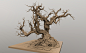 Tree Sketch, David Lesperance : Tree Sketch,   Done In 3d coat fun little warm up