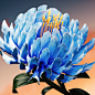 Behance 上的 Procedural Study - Flowers