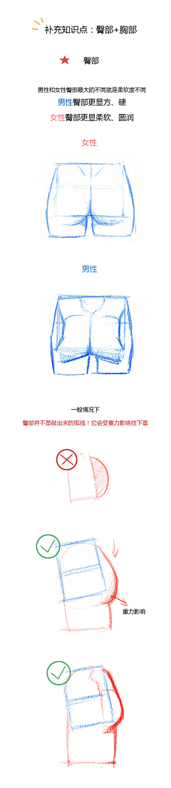 leijiexiong采集到四肢