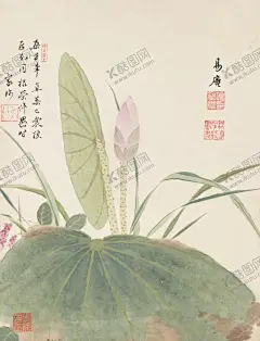 精美工笔花卉图 【酷图网】明,项圣谟花卉,石,字画,毛笔字,花卉冊清,花卉图,册页,花鸟植物,花朵花卉,工笔画,工笔画鸟,工笔,古代,工笔画素材,国画,水墨工笔画,工笔画画稿,写意绘画
