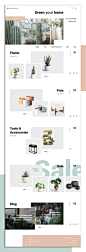 Mammillaria Plants – E-commerce Website : Plants delivery online shop.  I was inspired by scandinavian minimalism and simplicity.