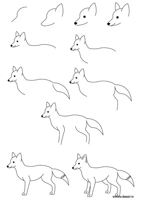 速收藏：带步骤简笔画小教程