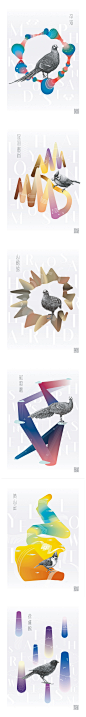 Endemic Birds o-The_Three_DesignS 鸟类 黑白  #色彩# #排版# #平面设计#