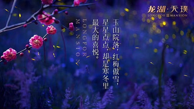 杭州·龙湖·天璞-重庆乐道广告