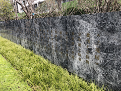 baimilier采集到07 正商·祯瑞上镜