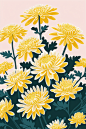花丛花卉绿植菊花花朵插画图片