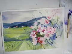 水彩---樱花-梨花-桃花-海棠花、梅花 - 高清图片，堆糖，美图壁纸兴趣社区