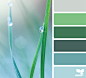 Design Seeds : Design Seeds color palettes ... posted daily for all who love color.