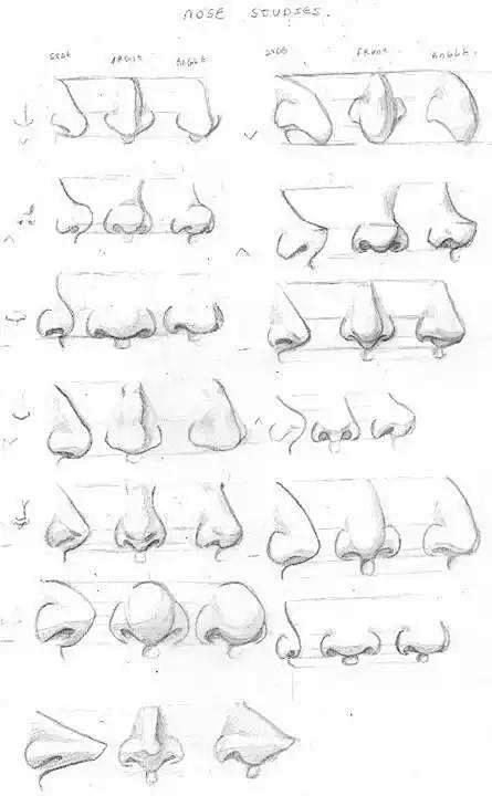 各种鼻子形状绘画参考