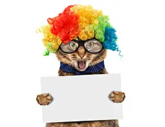 点击来源直接获取大图文件 |穿着小丑服装的有趣猫咪