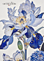 非遗手作丨青花色的等待 - 小红书