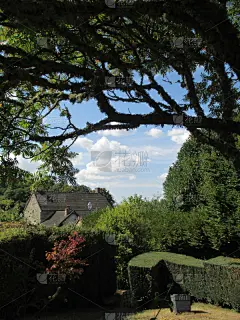 园林,夏天,房屋,自然,草坪,乡村,景观设计,法国,垂直画幅,生活方式_4619961268
