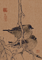 冬天到了，麻雀肥了。_1_彦青_来自小红书网页版