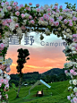 哇！我居然在户外找到了一块拍照出片的镜子_4_永康星野露营地_来自小红书网页版