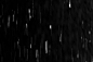 Rain Particles (182)