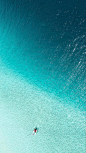 海
